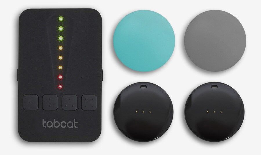 Can Cats Go Out In The Snow? Essential Guidelines You Must Follow