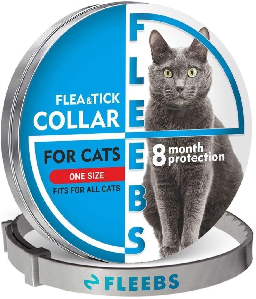 Best Flea Collar For Cats 2021 Review And Buyers Guide