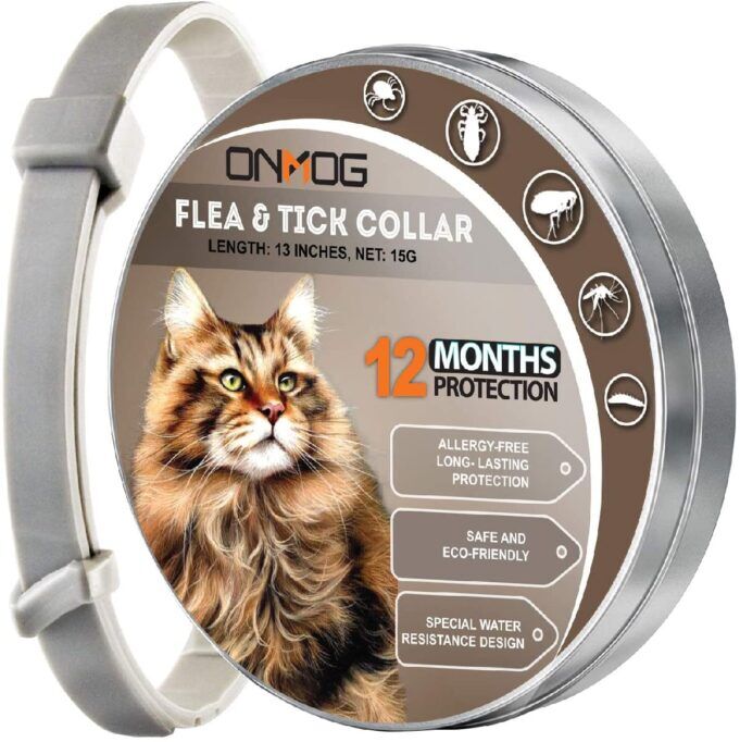 Best Flea Collar For Cats 2021 Review And Buyers Guide