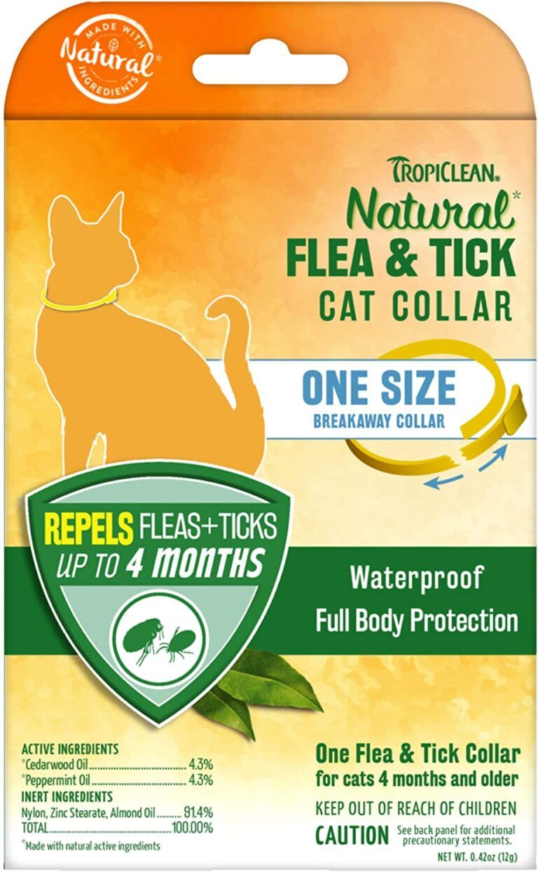 Best Flea Collar For Cats 2021 Review And Buyers Guide
