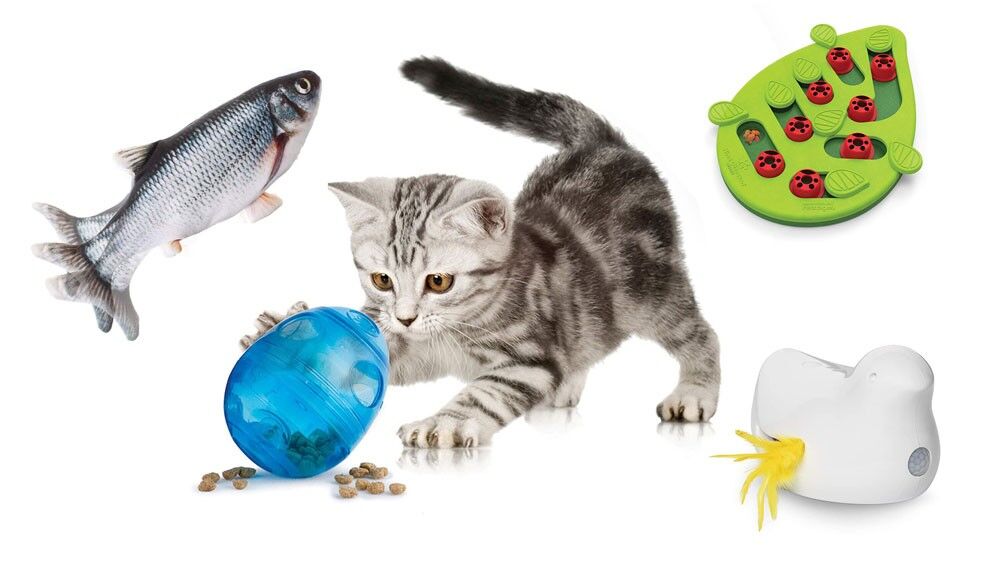 Best Interactive Toys For Cats Review and Buyers Guide
