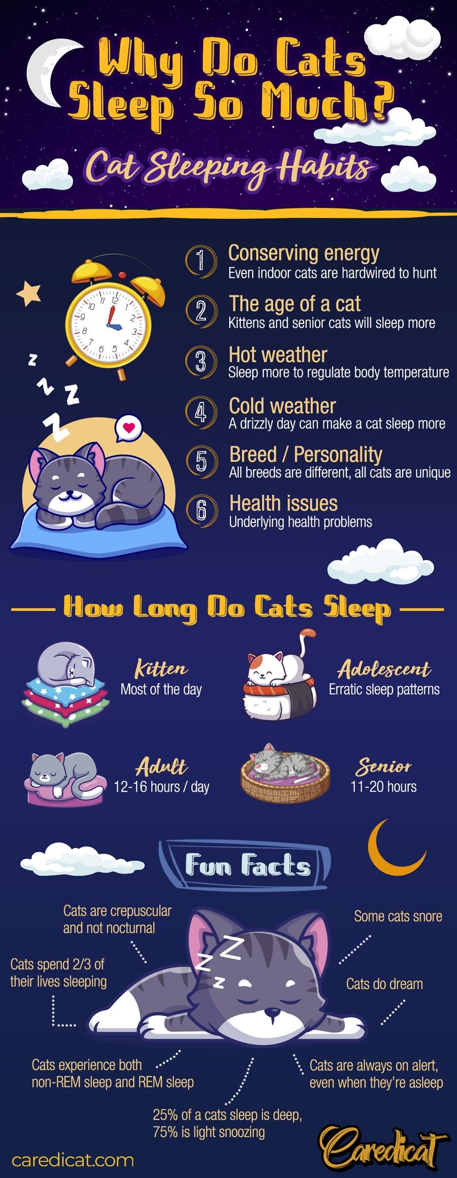 Why Do Cats Sleep So Much? Reasons, Facts, & Times For Concern