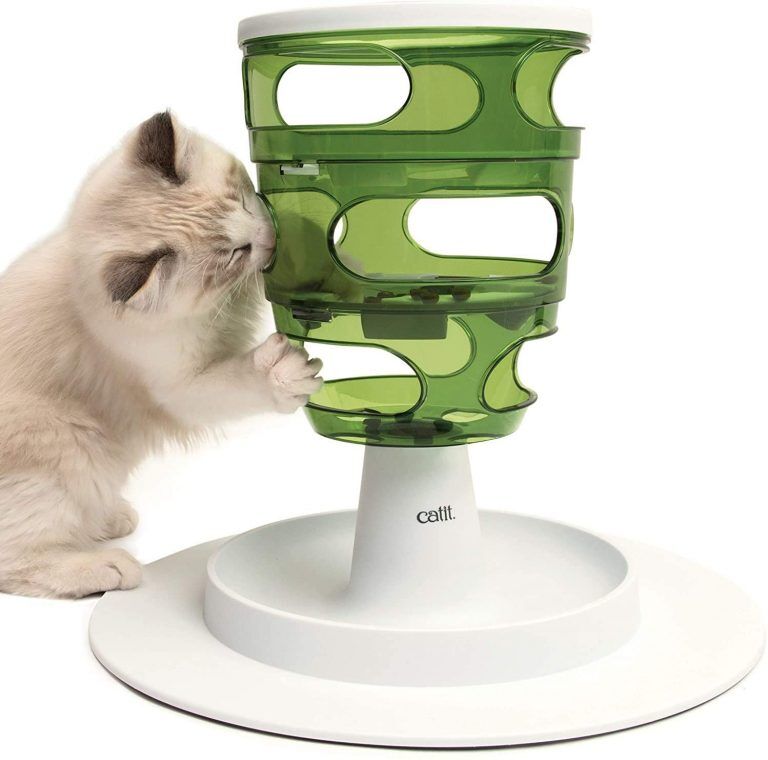 Best Cat Treat Puzzles Complete Review and Buyers Guide