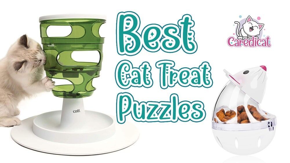 Best Cat Treat Puzzles Complete Review and Buyers Guide